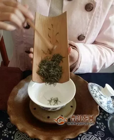 泡好一杯信陽毛尖茶的不同沖泡方法