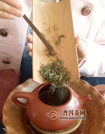 泡好一杯信陽(yáng)毛尖茶的不同沖泡方法