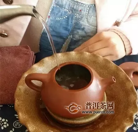 泡好一杯信陽毛尖茶的不同沖泡方法