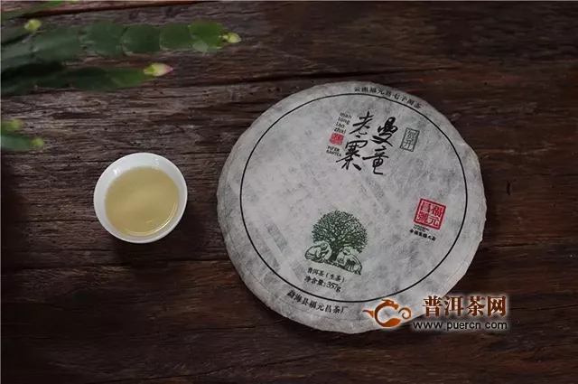 福元昌普洱茶：賀開深處尋本心