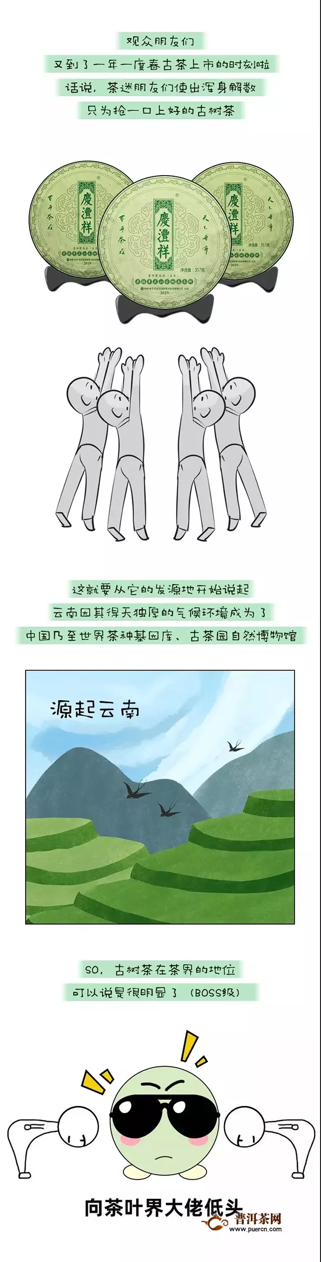 【揭秘】云南古樹茶百山百味的生命密碼！