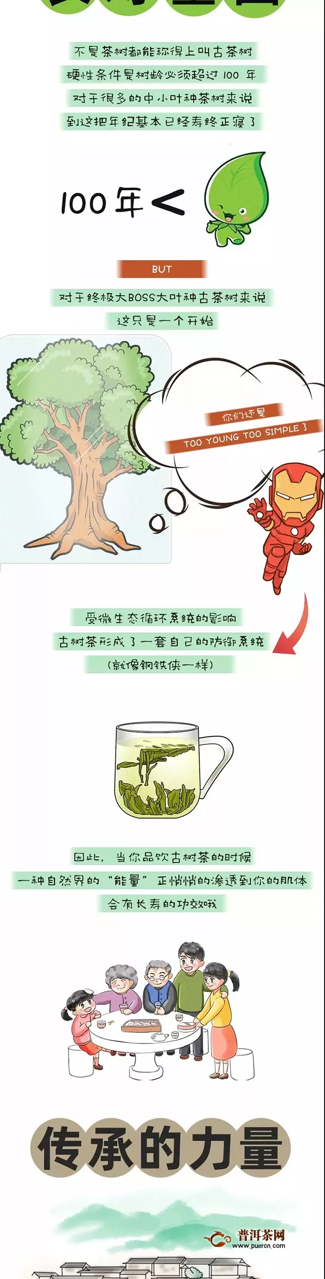 【揭秘】云南古樹茶百山百味的生命密碼！