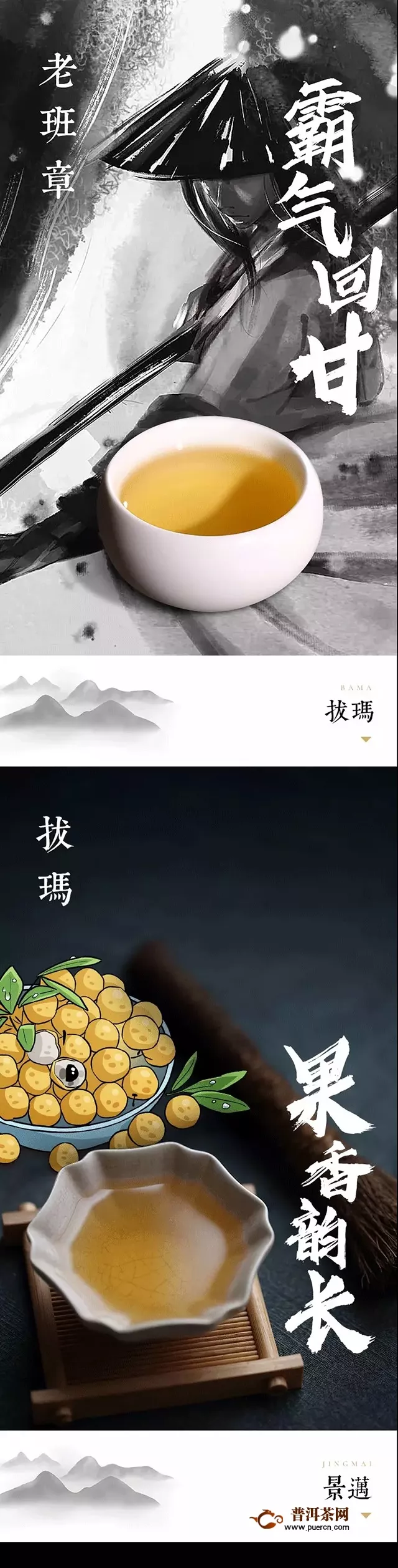 【揭秘】云南古樹茶百山百味的生命密碼！