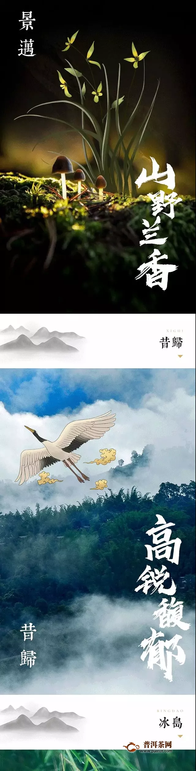 【揭秘】云南古樹茶百山百味的生命密碼！