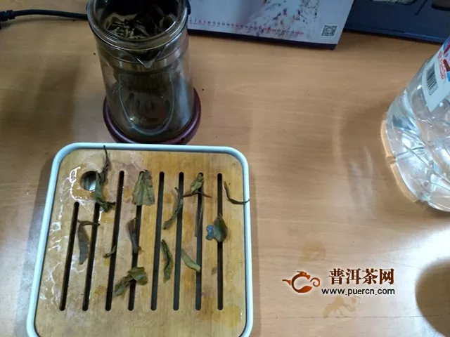 木蘭遺種意深沉 追根逆源始見真｜2018年德豐昌木蘭遺種生茶評測報告