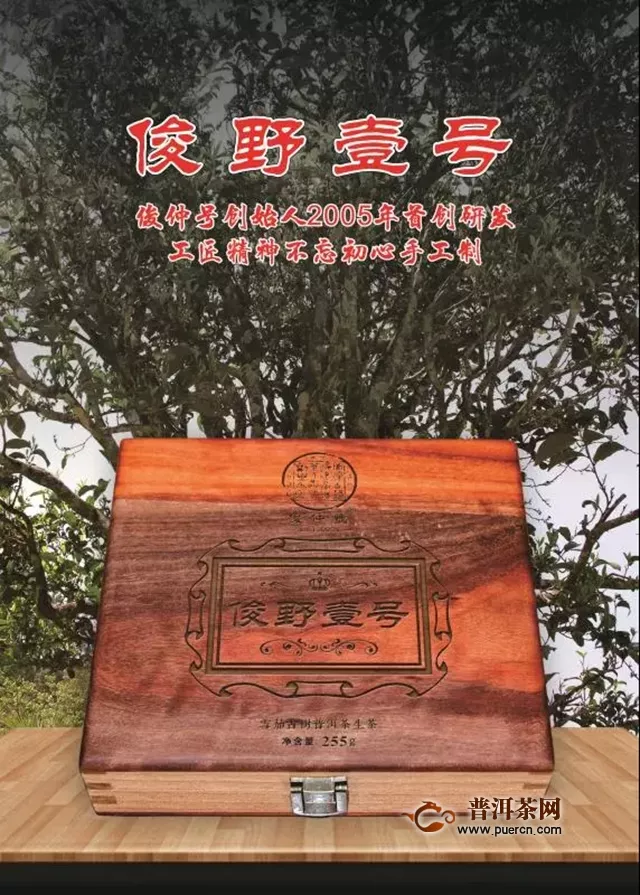 广州茶博会丨入夏祛乏，一杯暖茶