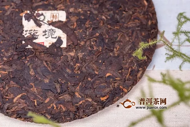 云元谷每日熟茶丨品鉴熟茶品质的技巧