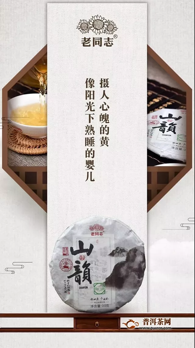 『Tea-新品』2019年山韵绮