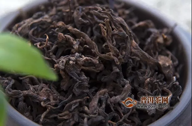 【品鉴预告】千堆第31期老挝古树熟茶