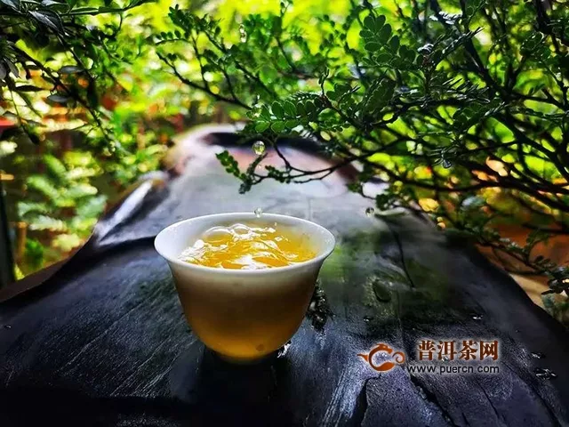 物華自是呈天寶，人杰何須問(wèn)地靈｜試飲2018年潤(rùn)元昌伏龍生茶評(píng)測(cè)