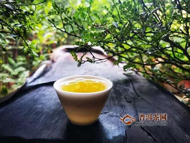 物華自是呈天寶，人杰何須問(wèn)地靈｜試飲2018年潤(rùn)元昌伏龍生茶評(píng)測(cè)