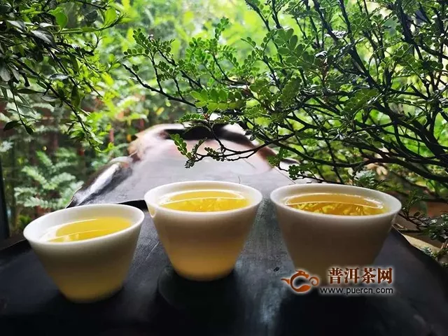 物華自是呈天寶，人杰何須問(wèn)地靈｜試飲2018年潤(rùn)元昌伏龍生茶評(píng)測(cè)