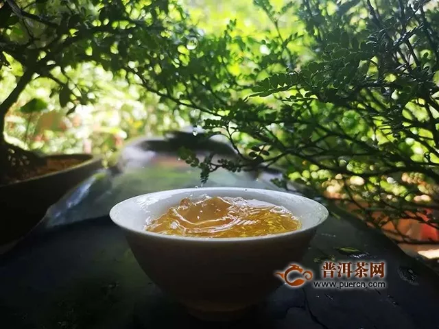 物華自是呈天寶，人杰何須問(wèn)地靈｜試飲2018年潤(rùn)元昌伏龍生茶評(píng)測(cè)