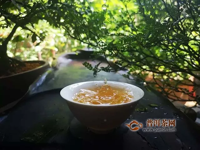 物華自是呈天寶，人杰何須問(wèn)地靈｜試飲2018年潤(rùn)元昌伏龍生茶評(píng)測(cè)