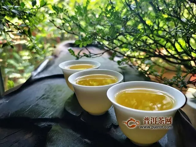 物華自是呈天寶，人杰何須問(wèn)地靈｜試飲2018年潤(rùn)元昌伏龍生茶評(píng)測(cè)