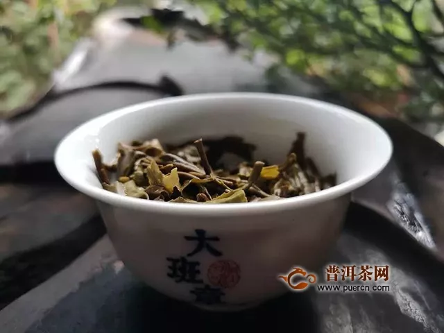 物華自是呈天寶，人杰何須問(wèn)地靈｜試飲2018年潤(rùn)元昌伏龍生茶評(píng)測(cè)