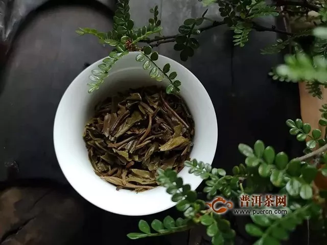 物華自是呈天寶，人杰何須問(wèn)地靈｜試飲2018年潤(rùn)元昌伏龍生茶評(píng)測(cè)