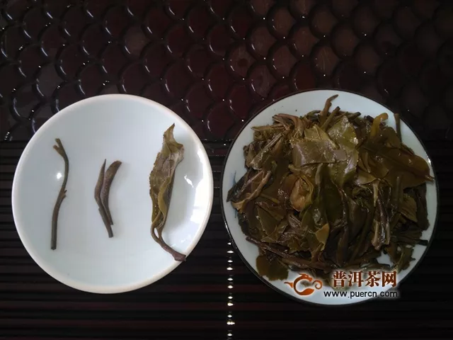 品云茶布朗、享口齒留香（試飲云源號(hào)布朗貢餅有感）