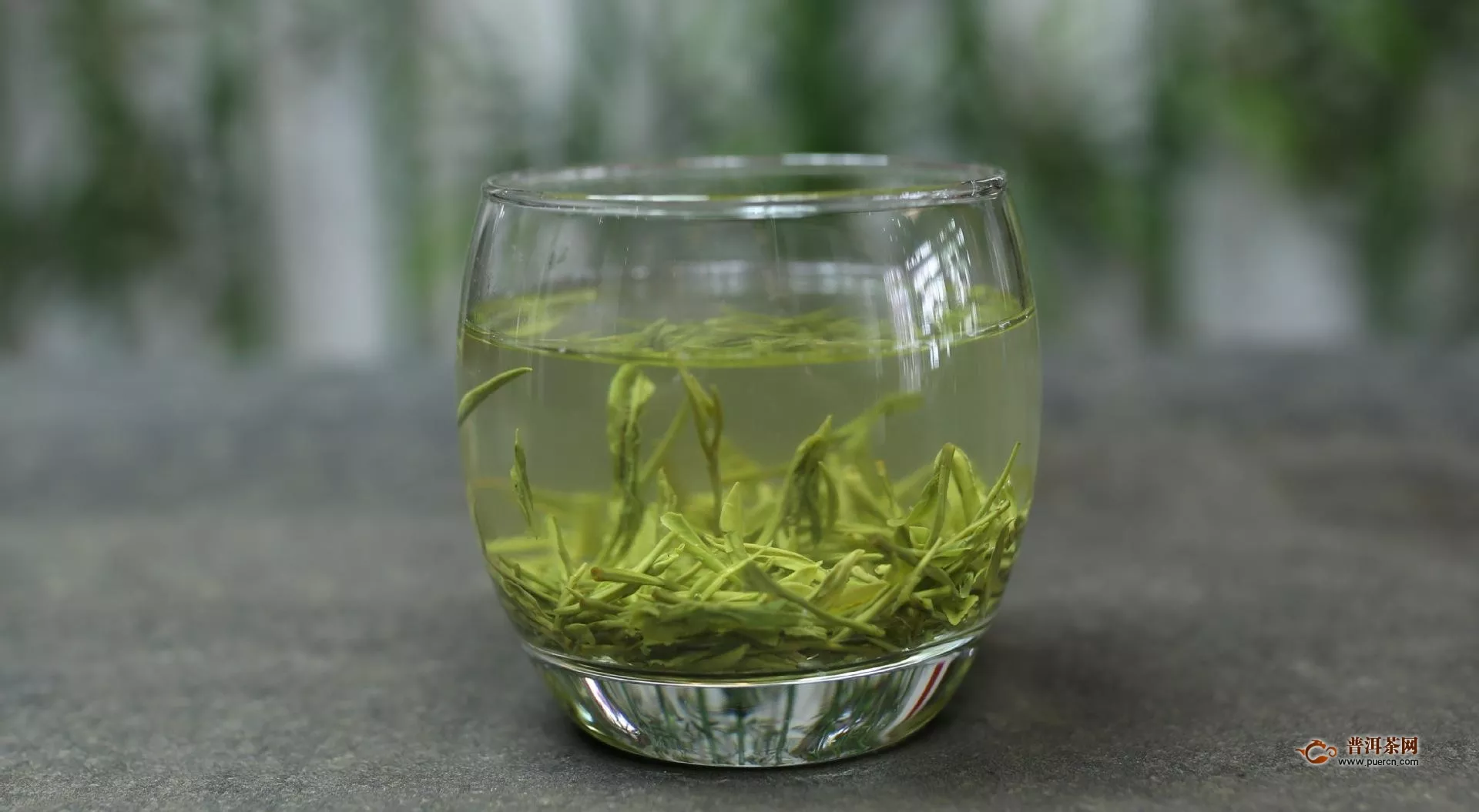 廣安松針茶怎么泡好喝