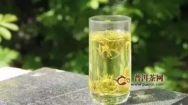十大黄茶，为你介绍中国几大黄茶种类！