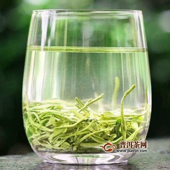 广安松针是绿茶吗？有什么保健功效