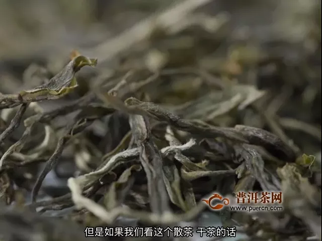 詳解普洱茶四大產(chǎn)區(qū)（二）｜看干茶，辨產(chǎn)區(qū)！老茶客都不知道的干貨貼