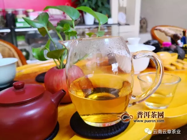 云章古树红茶