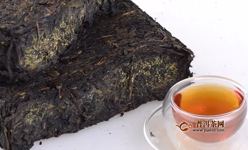 黑茶金花是什么菌，有金花菌还能喝吗
