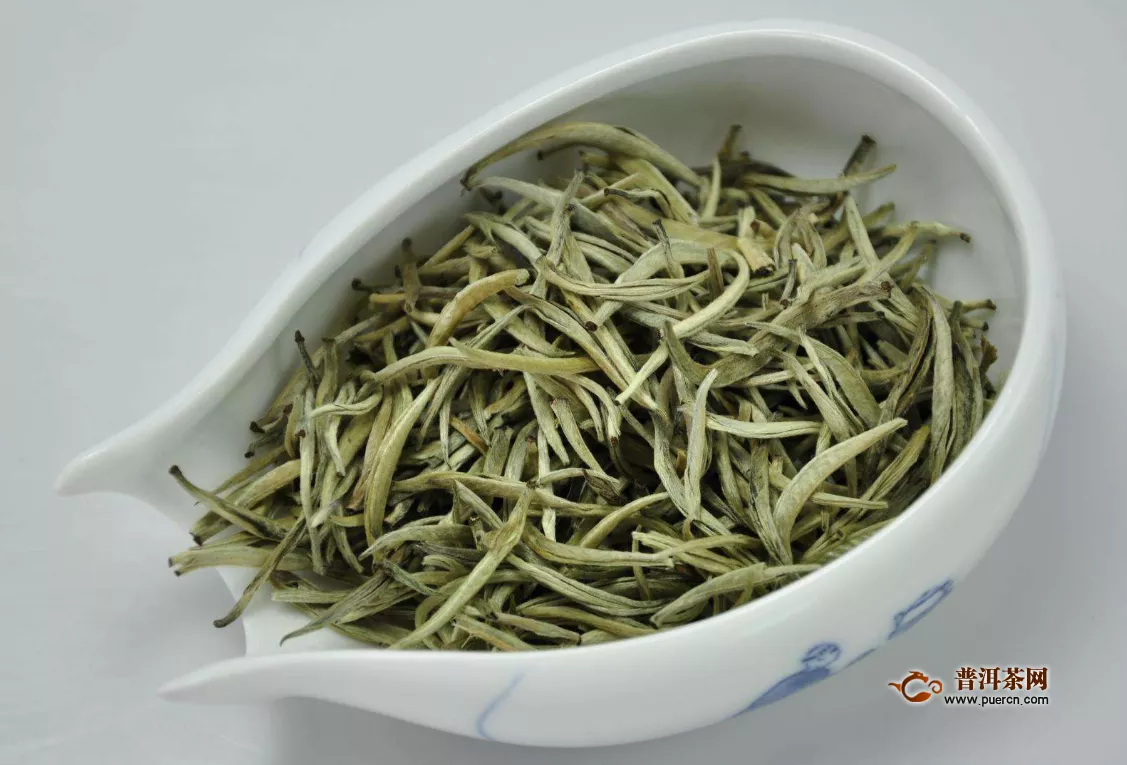 中国白茶起源地在哪里？为什么在福鼎？