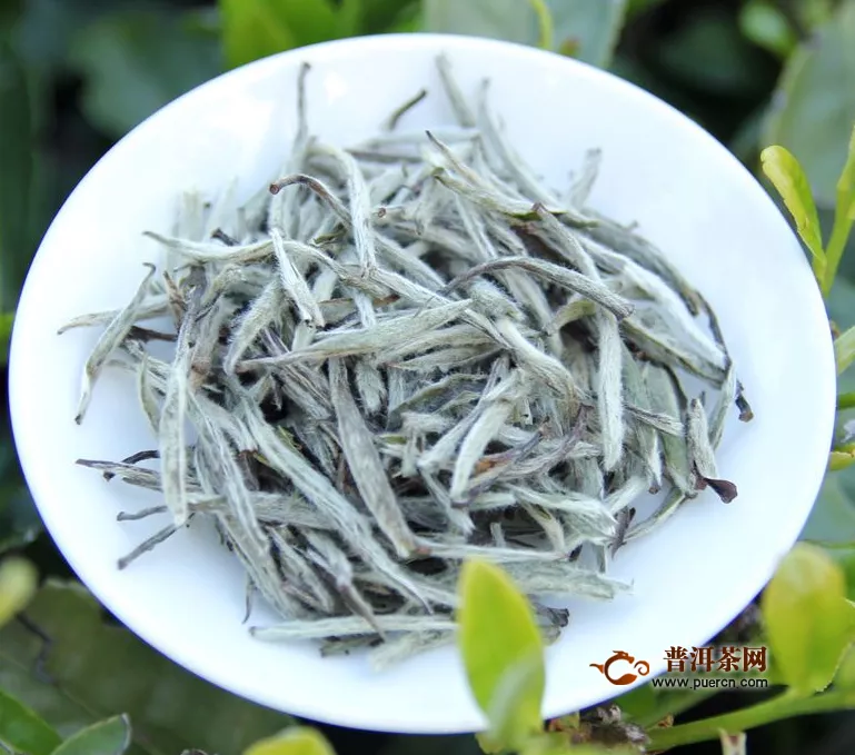 什么白茶值得收藏，作为白茶收藏者的你了解吗？