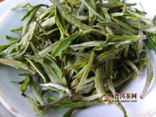 昭平银杉茶多少钱一斤
