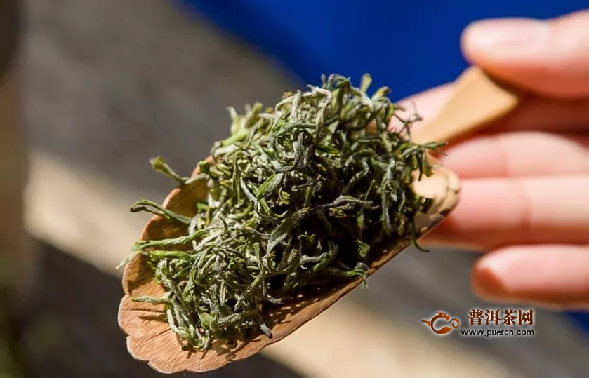 十大绿茶品牌排行榜，2019年绿茶品牌哪个好？