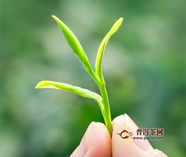 徑山香茗產(chǎn)地在哪里？徑山香茗的產(chǎn)地介紹