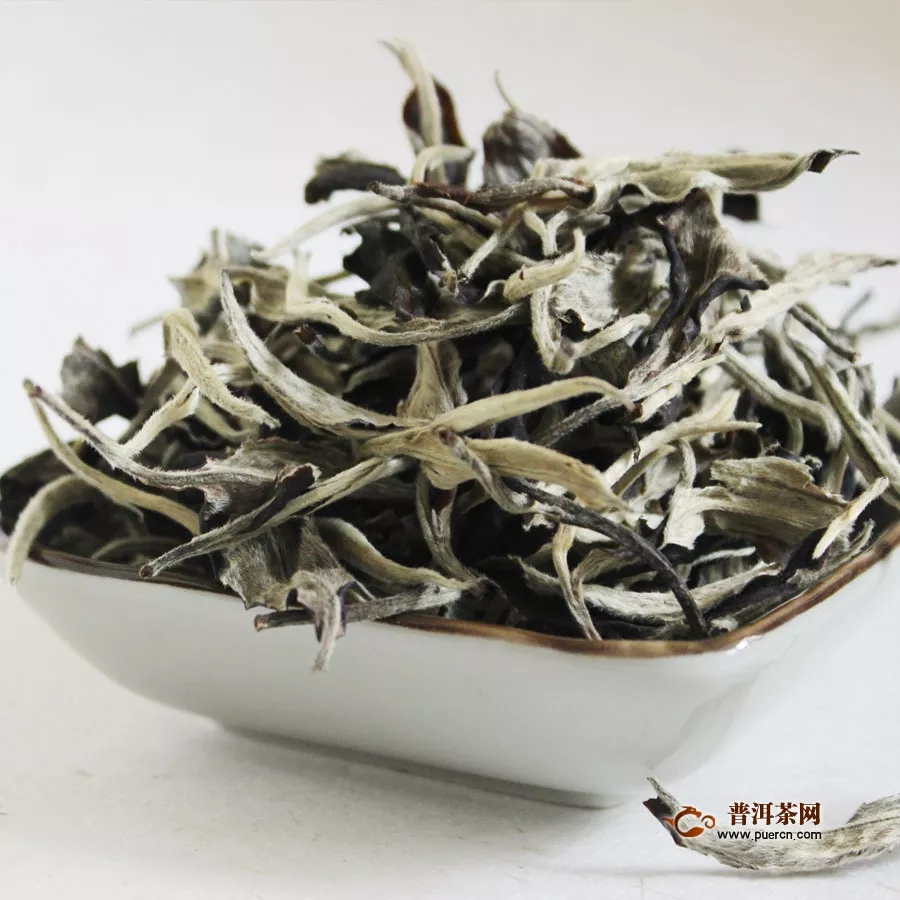 云南古树白茶冲泡方法，带您领略云南古树白茶的魅力！