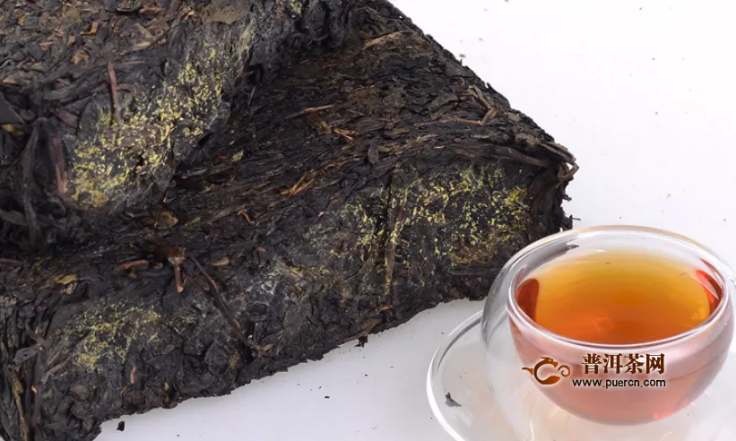 黑茶的金花是黄曲霉吗？三个方式教您辨别真假金花