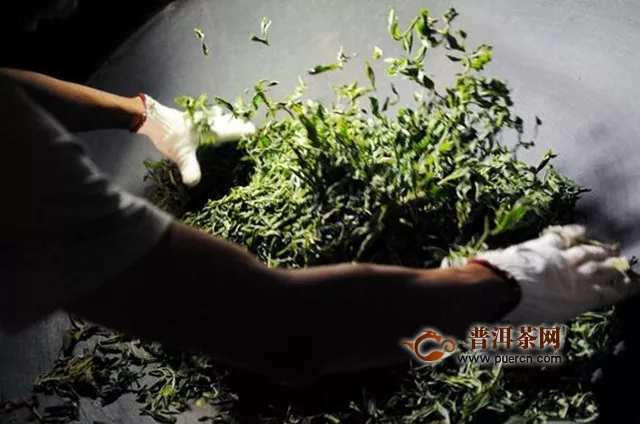 小岘春茶加工工艺流程