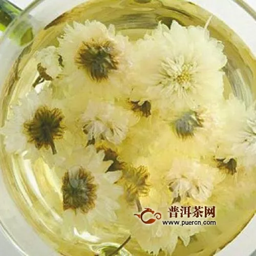 白菊花茶能长期泡水喝吗