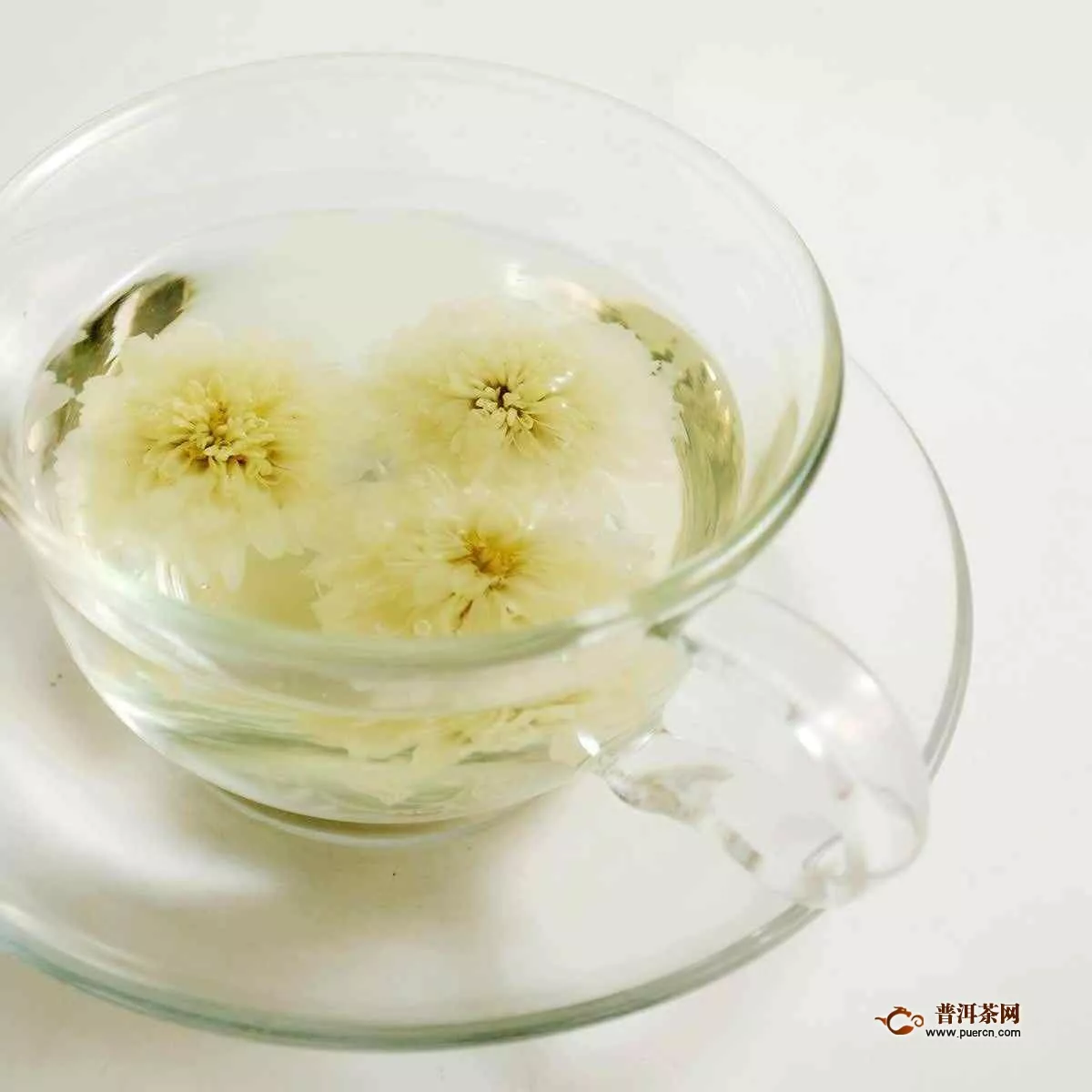 白菊花枸杞茶泡水喝的副作用