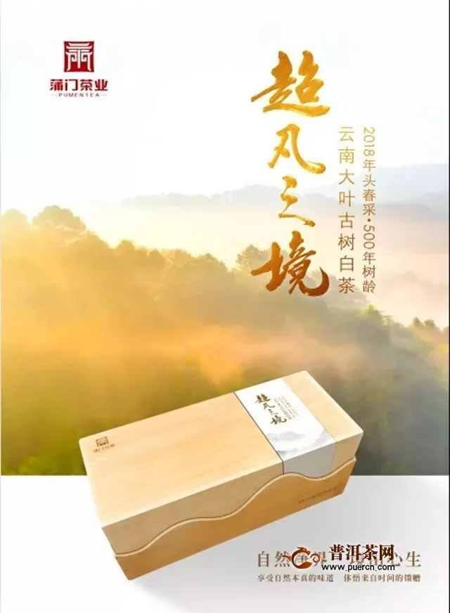 企业动态｜茶博会预告·跨越3000公里山川，蒲门把好茶带给你