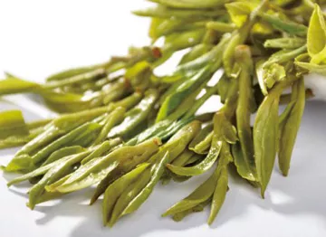 绿茶采摘的季节，简述采摘绿茶的7种指法