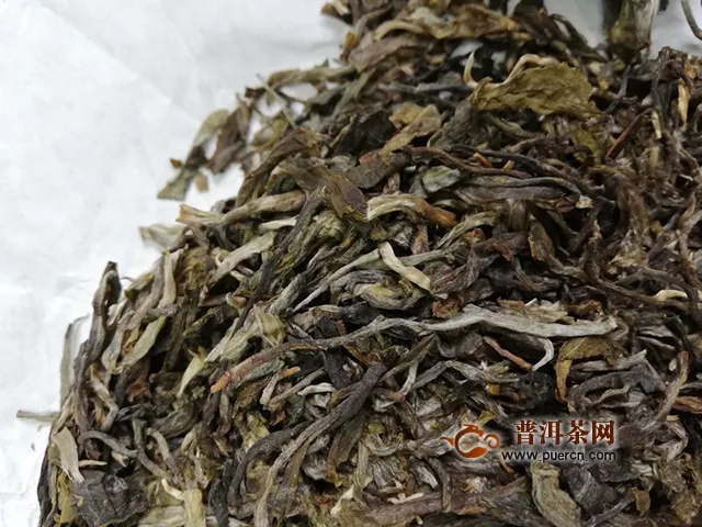 踏云而來，搜魂而去 ---- 2019年楊普號摘云峰生茶試用品鑒報告