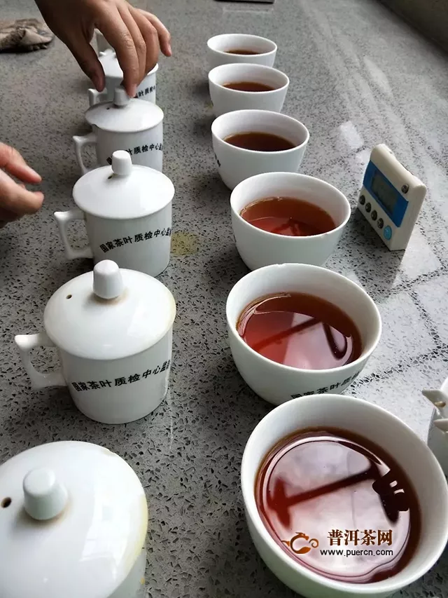 蒲門紅茶研究院｜紅茶審評篇--紅碎茶