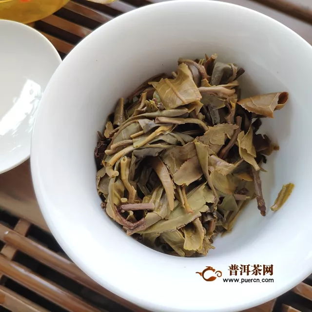 普洱有一座山叫“班章”—2019年八角亭班章生態(tài)圓茶生茶試用評(píng)測報(bào)告