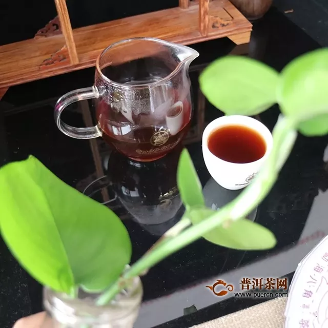 与君共茗—2019八角亭紫印古树圆茶（熟）上市