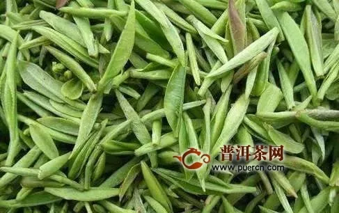 綠茶屬于發(fā)酵茶嗎？綠茶具備哪些功效呢？