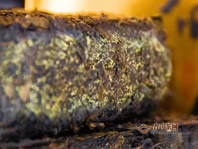 黑茶金花怎么有股霉味？有霉味是正常现象吗？