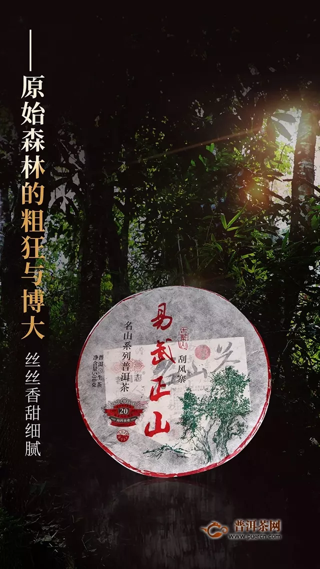 『Tea-新品』2019老同志名山茶系列——刮风寨