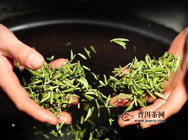 竹叶青茶为什么这么贵？产地优、制作成本较高！