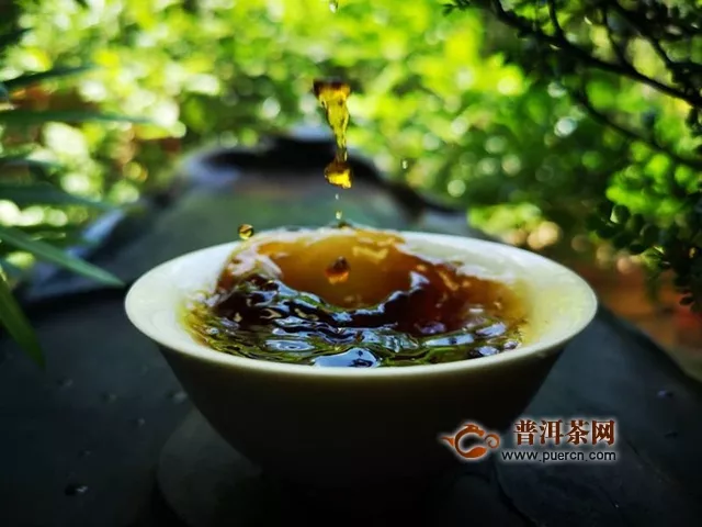 2015年云源号布朗古树贡砖熟茶品鉴