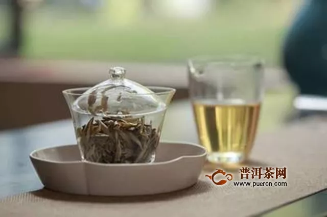 每天喝白茶对身体好吗？每天喝白茶身体棒棒！